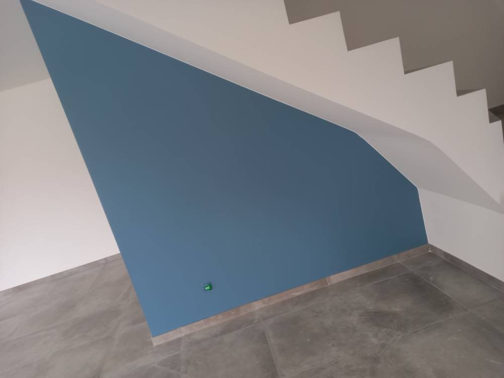 omar peinture realisation (42)