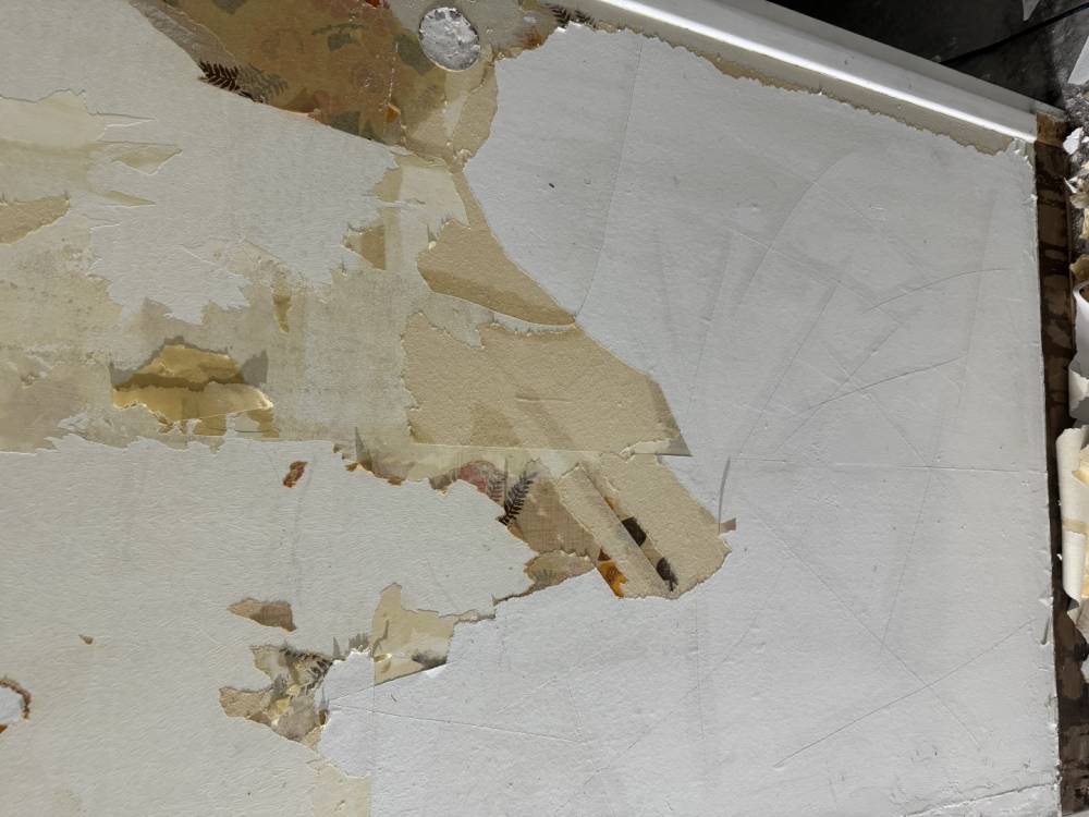 omar peinture realisation (162)